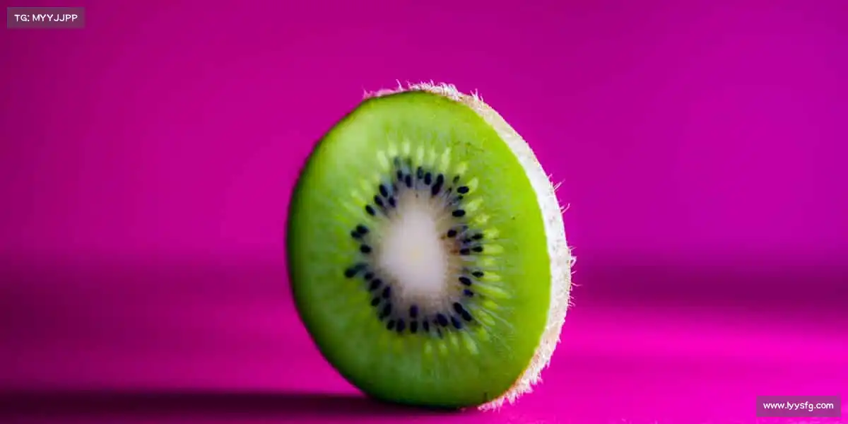 行业领先的理由